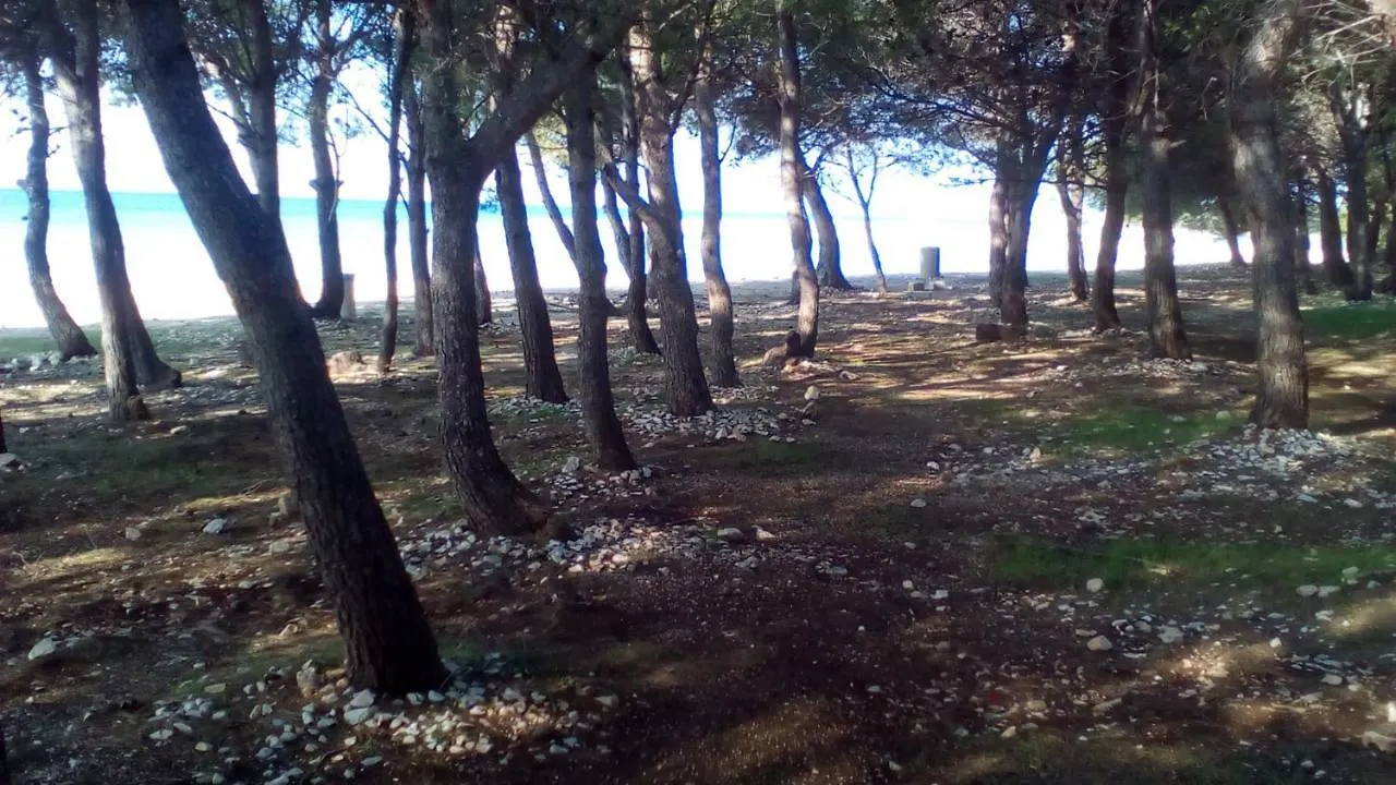 Apartmani Klauda Povljana 0*,  Croatia